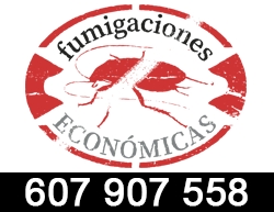 www.fumigacioneseconomicas.es