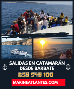 marineatlantes.com - Salidas en catamarán desde Barbate