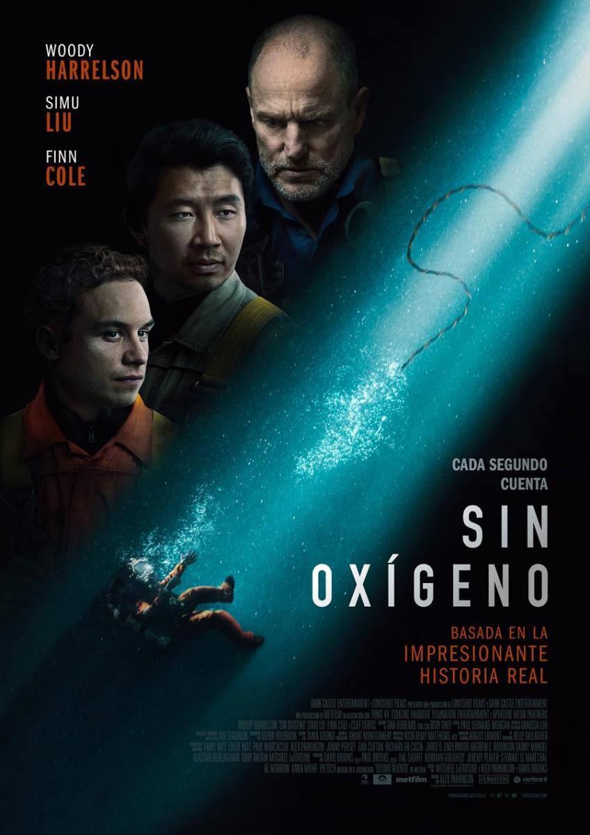 Más detalles de esta película