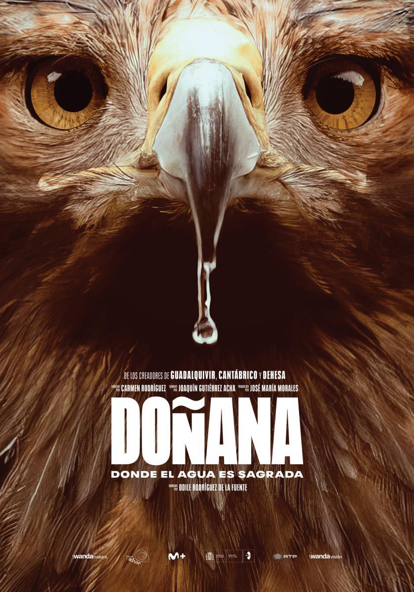 Más detalles de esta película