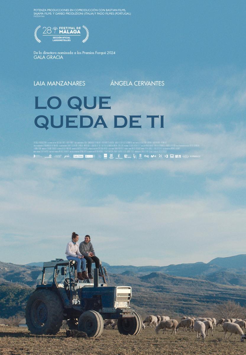 Más detalles de esta película