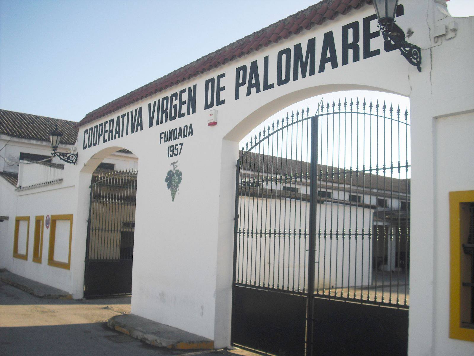 COOPERATIVA AGRÍCOLA VIRGEN DE PALOMARES